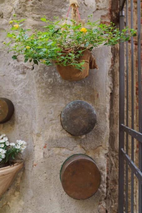 Corte Paolina - Charming Courtyard Inside Lucca Exterior foto
